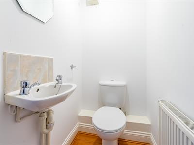 Picture 17